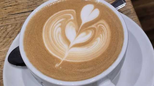 Barista and Waiter / Waitress
