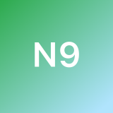 N 9. avatar icon