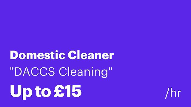 Domestic Cleaner