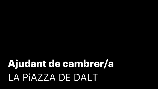 Ajudant de cambrer/a