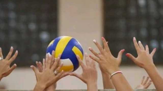 Profesor/a de Voleyball