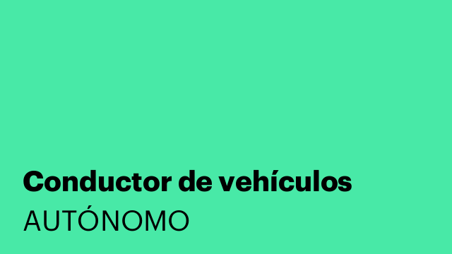Conductor de vehículos