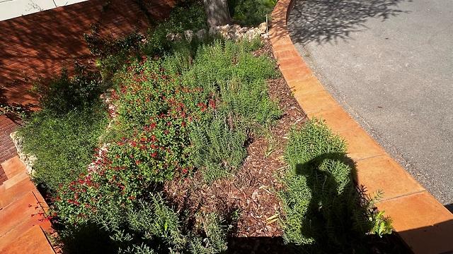 Jardinero/a