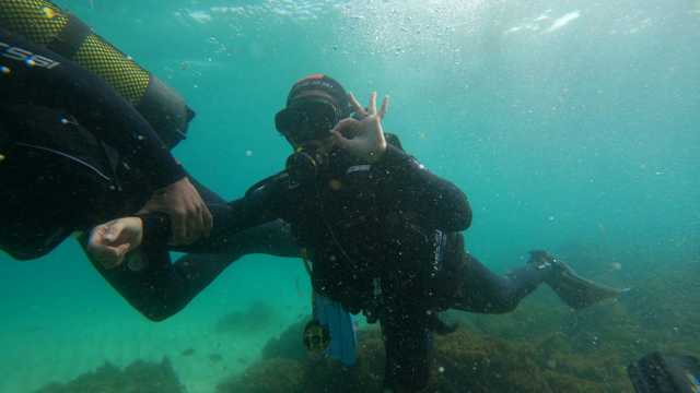 Instructor/a de buceo PADI / Divemaster