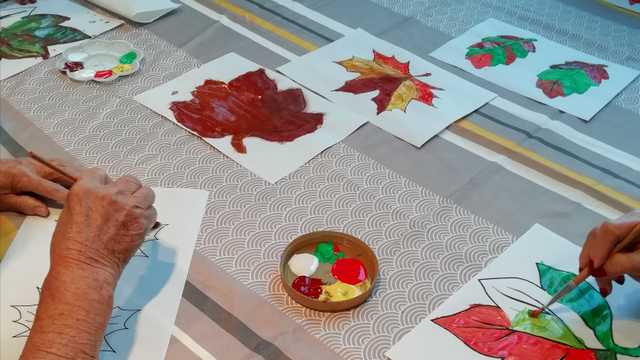 Terapeuta Ocupacional