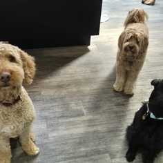 company photo