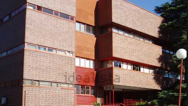 Auxiliar Administrativo/a (Aduanas)