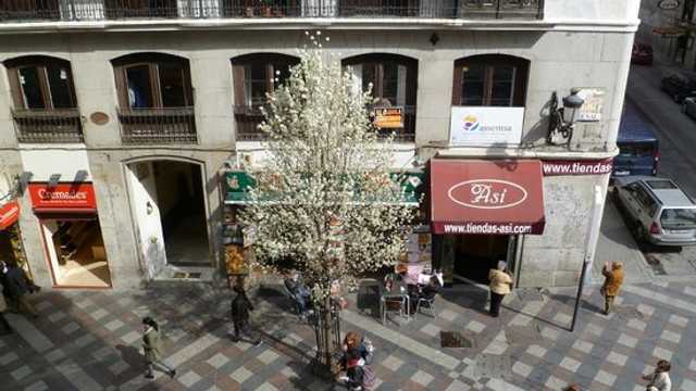 Ayudante/a de Contabilidad