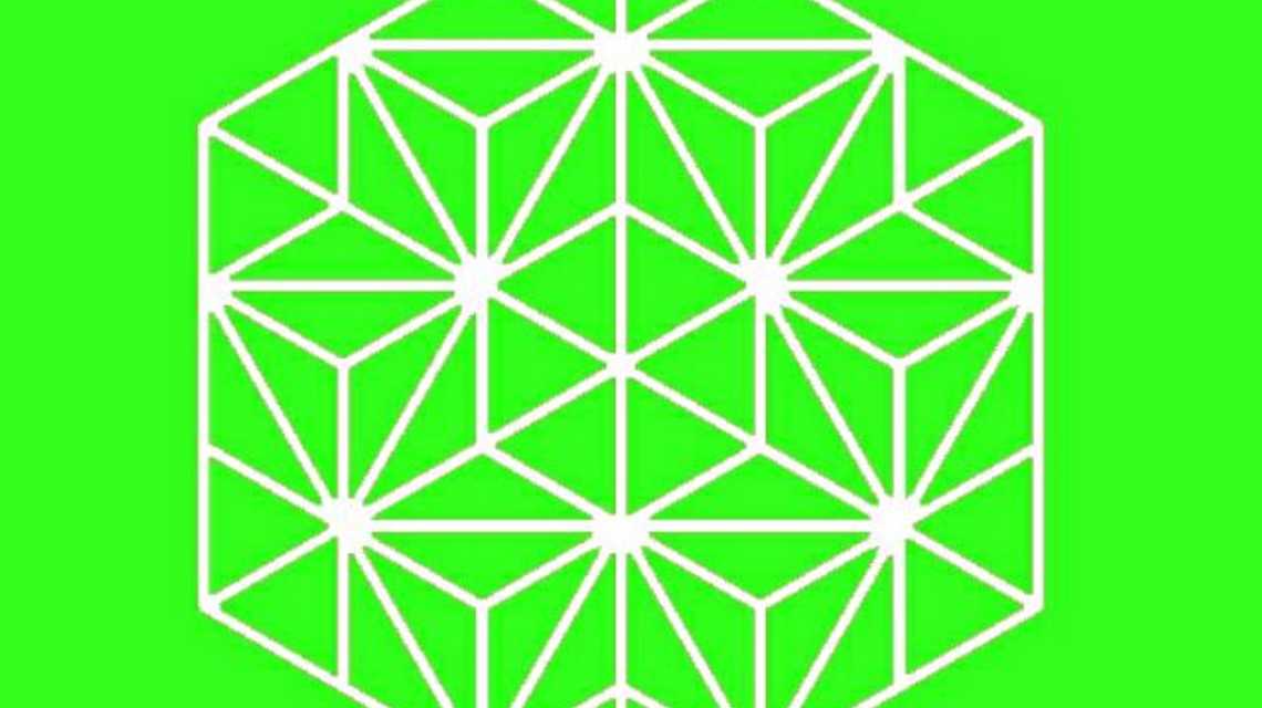 Fariña Belleza Saludable cover image