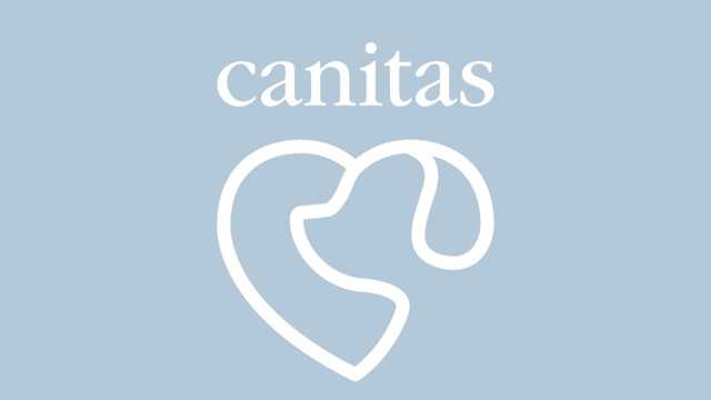 Peluquero/a Canino - Huelva
