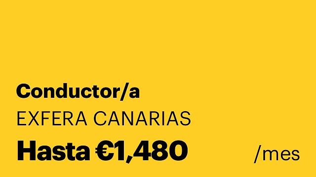 Conductor/a