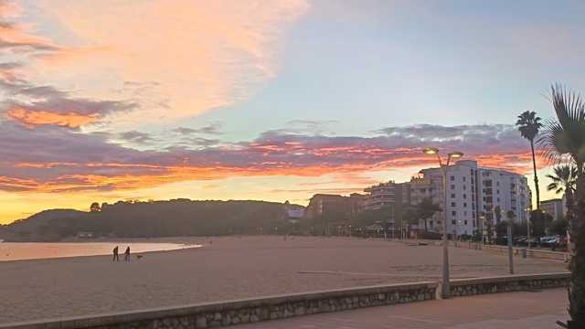 Ayudante de Camarero/a