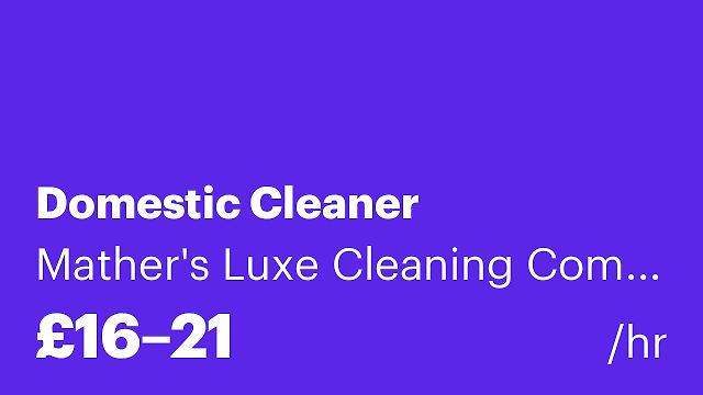 Domestic Cleaner