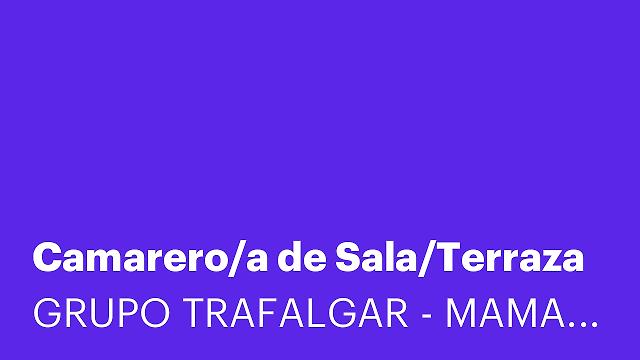 Camarero/a de Sala/Terraza