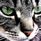 Ana belen S. avatar icon