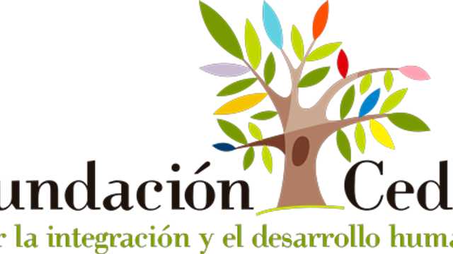 Terapeuta Ocupacional