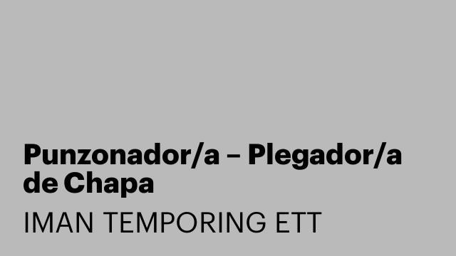 Punzonador/a – Plegador/a de Chapa