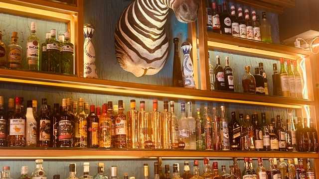 Experience Bartender