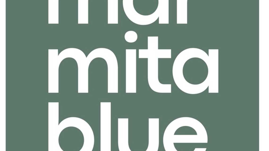 Marmita Blue cover image