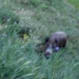 Ezequiel L. avatar icon