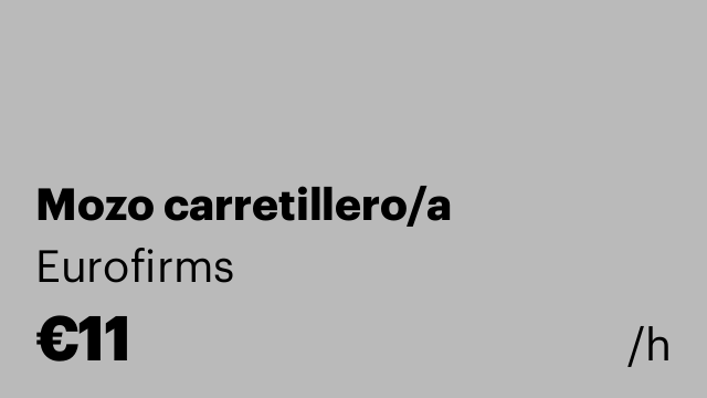 Mozo carretillero/a