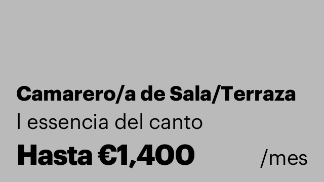 Camarero/a de Sala/Terraza