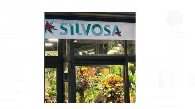 Auxiliar Florista de Tienda de Flores con experiencia Turno de tarde