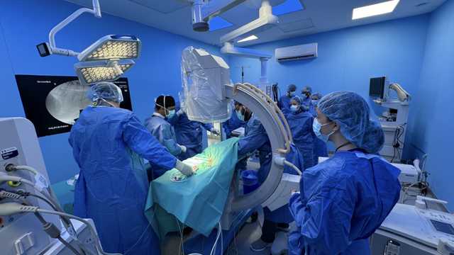 Auxiliar técnico de Veterinaria