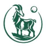 Mallorcaddies  avatar icon