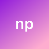 nestor P. avatar icon