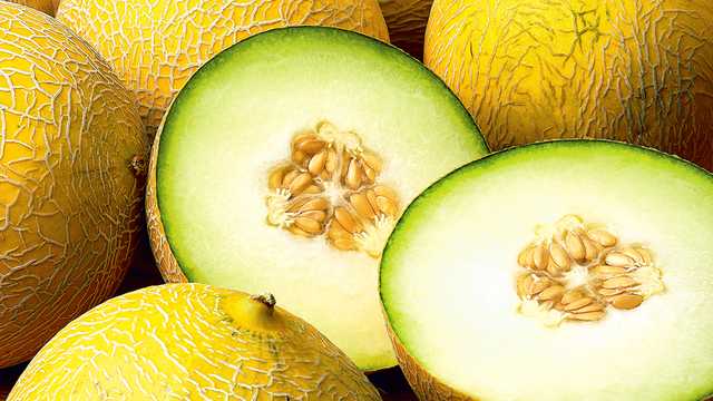 Company photo #2