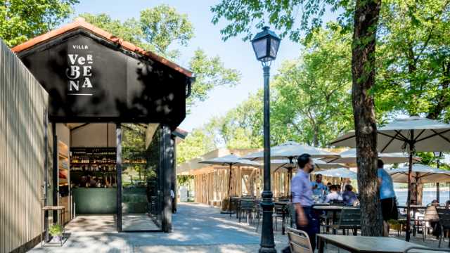 Ayudante de Camarero/a