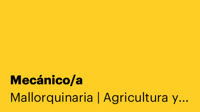 Mecánico/a