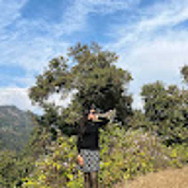 Candidate avatar