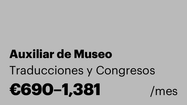 Auxiliar de Museo