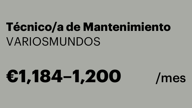 Técnico/a de Mantenimiento