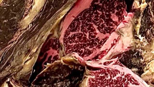 Cocinero/a Restaurante