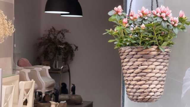 Esteticista, manicurista