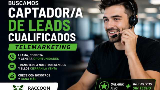 Asesor/a Energético