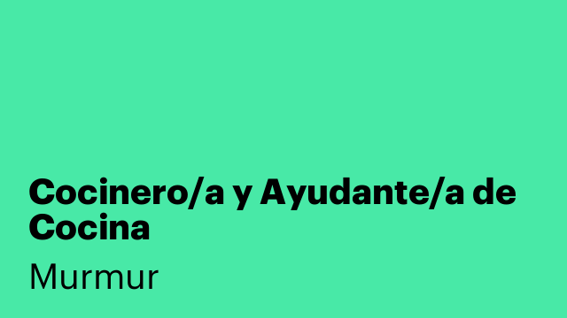 Cocinero/a y Ayudante/a de Cocina
