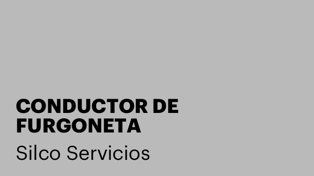 CONDUCTOR DE FURGONETA