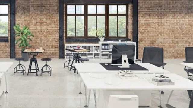 Recepción y asesoramiento de clientes