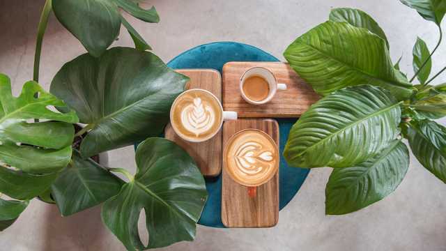 Camarero/a y Barista