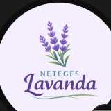 Neteges L. avatar icon