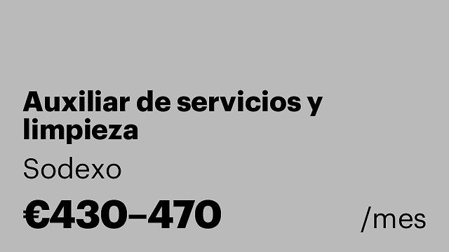 Auxiliar de servicios y limpieza