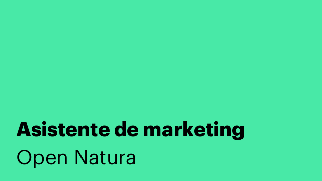 Asistente de marketing