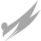 Orthos B. avatar icon