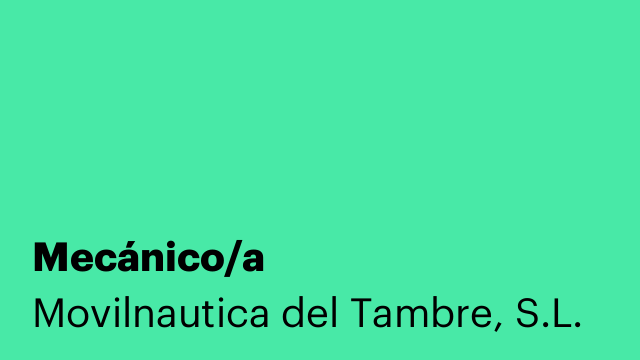 Mecánico/a