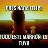 Houssnia B. avatar icon