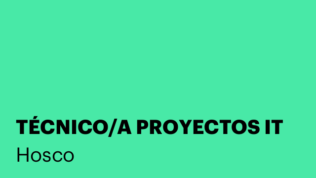 TÉCNICO/A PROYECTOS IT